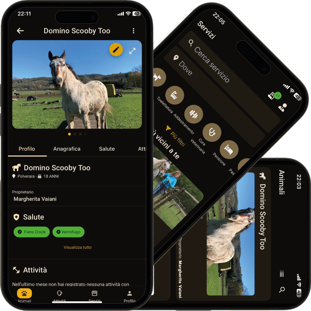 PawsPet app on iPhone: a pet’s profile